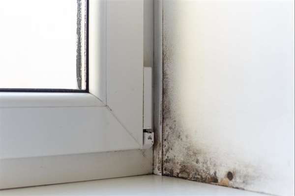 Damp Proof Courses