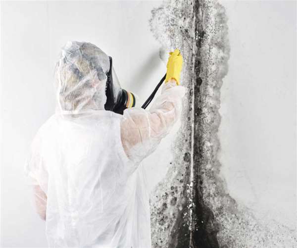 Copyright2026 Damp Proofing 