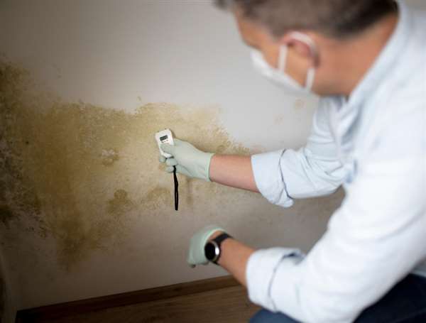 Copyright2026 Damp Proofing 